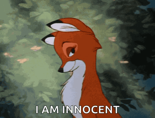 Flirty Fox Fluttering Eyelashes GIF