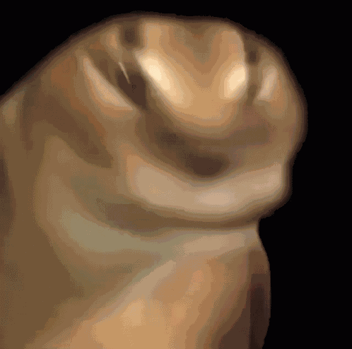 Flopper Rotation GIF