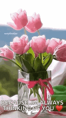 Floral Pink Flowers GIF