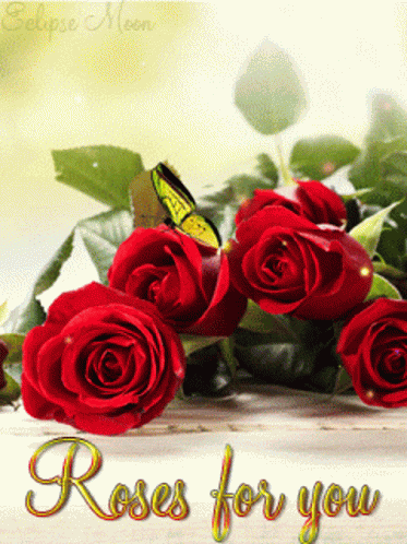 Flores Flower GIF
