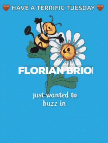 Florian Briol Sebastien Bourlard GIF