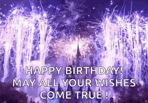 Florida Disney GIF