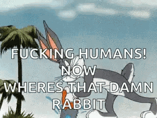Florida Is Crazy Fucking Humans GIF