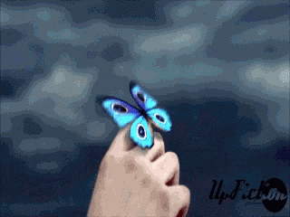 Flower Butterfly GIF