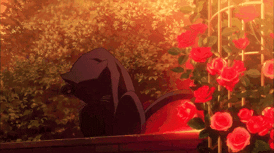 Flower Cat GIF