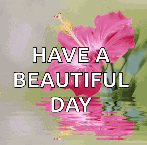 Flower Love GIF