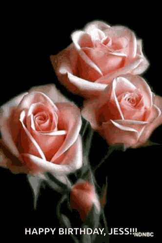 Flower Rose GIF