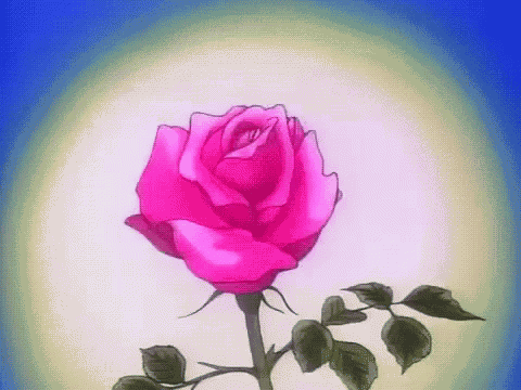Flower Rose GIF