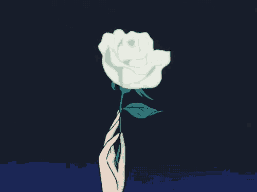 Flower Rose GIF