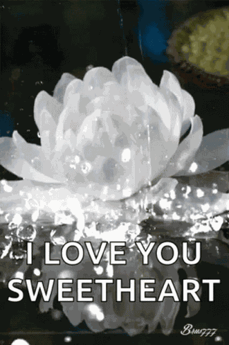 Flower White GIF