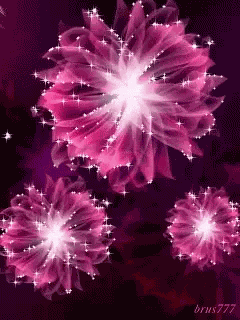 Flowers Animation GIF