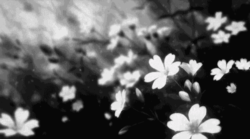 Flowers Black And White Aesthetic GIF