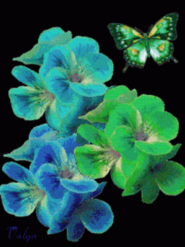Flowers Butterfly GIF