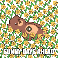 Flowers Field Of Flowers Sticker