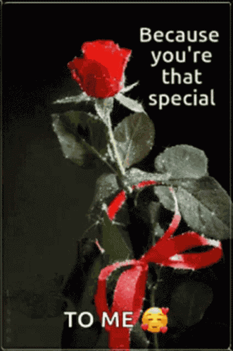 Flowers Flowers For You GIF