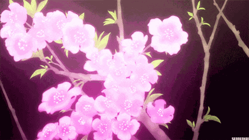 Flowers For Alex GIF