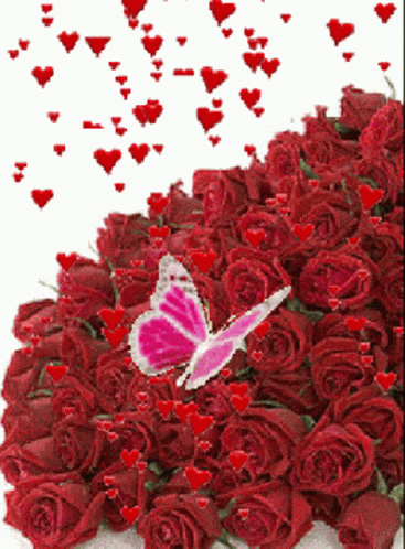 Flowers For GIF