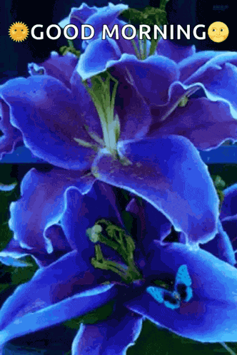 Flowers For You GIF
