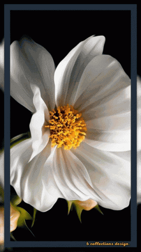 Flowers Good GIF