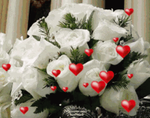 Flowers Rose GIF