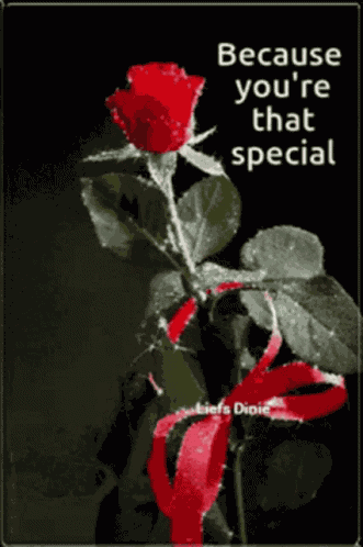 Flowers Rose GIF
