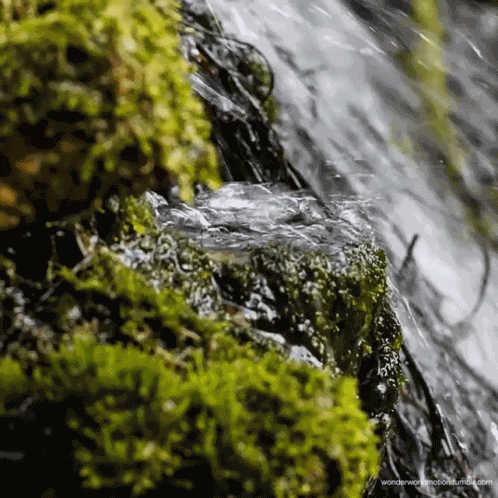 Flowing Water GIF