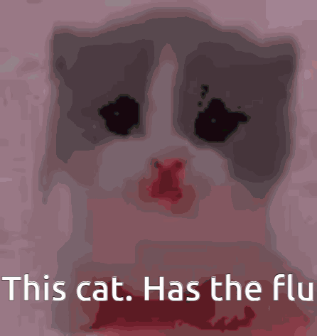 Flu Cat GIF