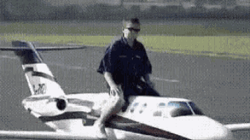 Fly GIF