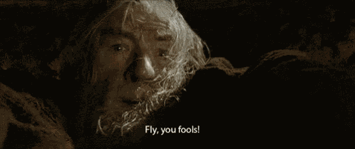 Fly, You Fools! - The Lord Of The Rings GIF