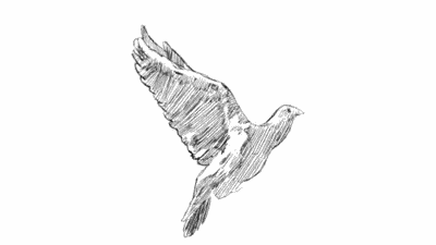 Flying Dove Of Peace GIF