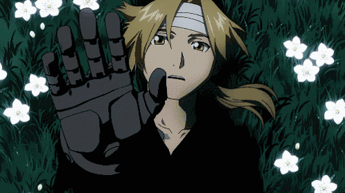 Fmab Fullmetal Alchemist GIF