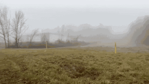 Fog Foggy GIF