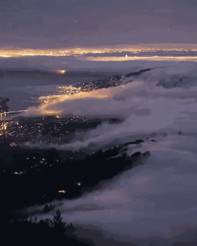 Fog Night Time Fog GIF