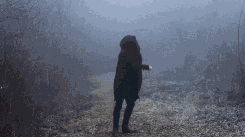 Foggy Nature GIF