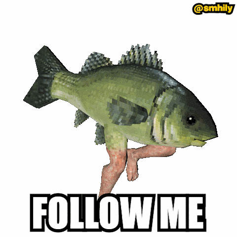 Follow Me Fish GIF