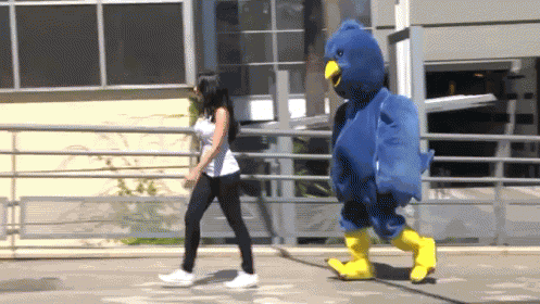 Follow Me On Twitter GIF