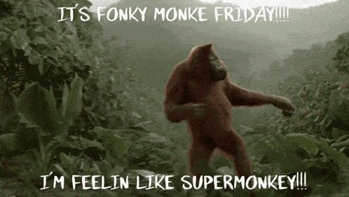 Fonky Monke Friday Monkey Dance GIF