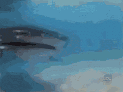 Fonzie Jumping GIF