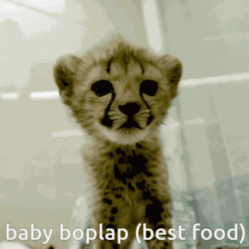 Food Boplap GIF