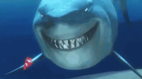 Food Shark GIF