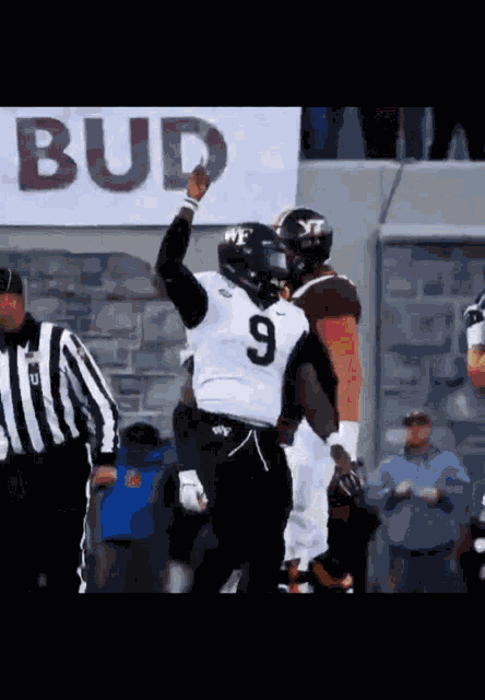 Football Wake Forest Demon Deacons Football GIF