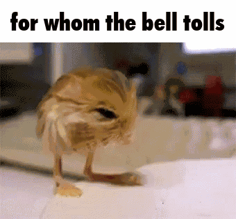 For Whom The Bell Tolls For Who The Bell Tolls GIF