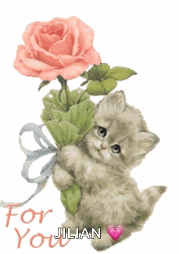 For You Cute Cat GIF