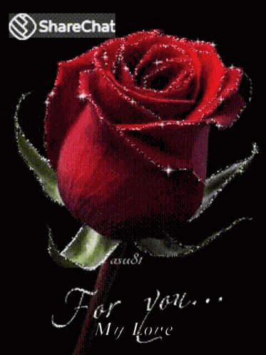 For You Roses GIF