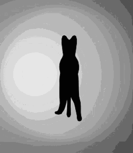 Forestal Boots3607784 GIF