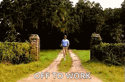 Forestgump Tomhanks GIF
