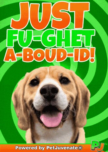 Forget About It Mob Slang Wise Guy Tough Guy Mobster Talk Mafia New York GIF