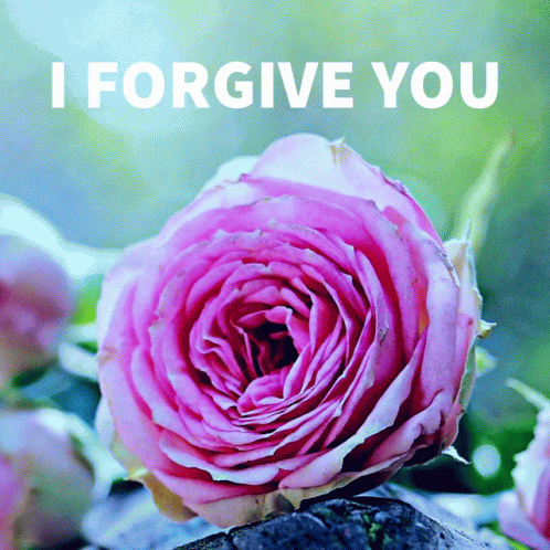 Forgiven Iforgive Forgive Jesus Victoriabea4rose GIF
