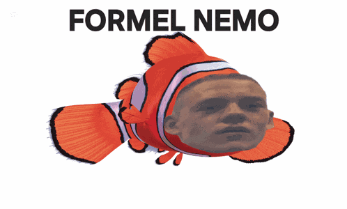 Formel Formel Nemo Meme
