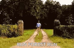 Forrest Gump Omw GIF